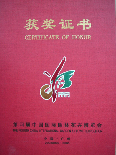 學(xué)校榮譽(yù)