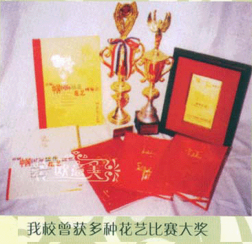 學(xué)校榮譽(yù)