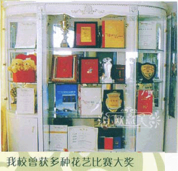 學(xué)校榮譽(yù)