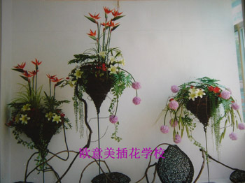 學(xué)校環(huán)境