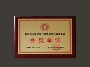 學(xué)校榮譽(yù)3