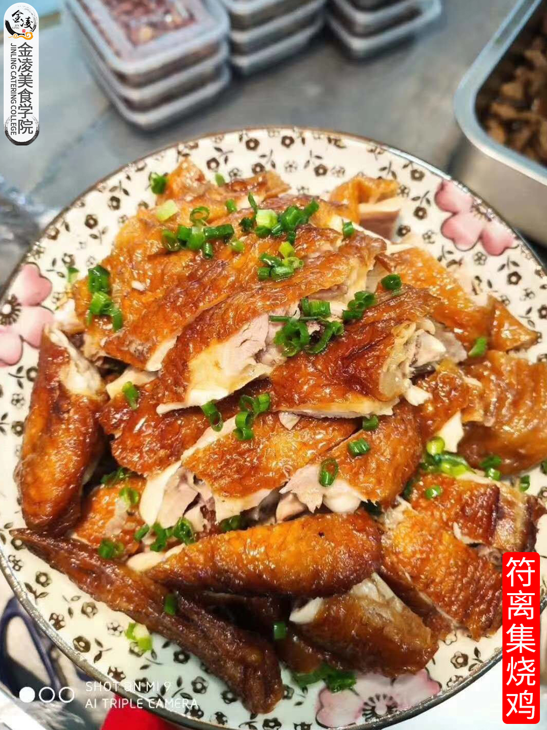 學(xué)員作品七十