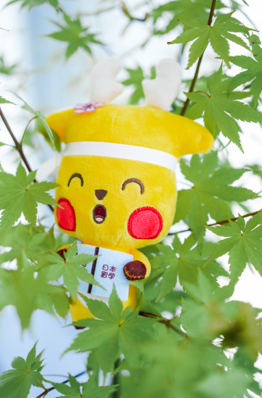 學(xué)校裝飾
