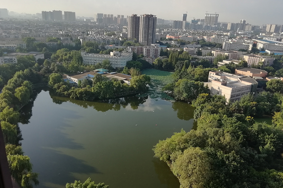 俯視圖