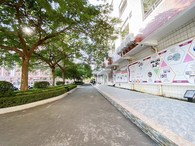 校史館外校道