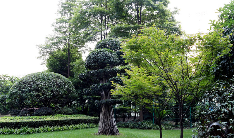 室外環(huán)境