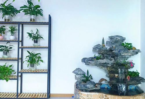 綠植