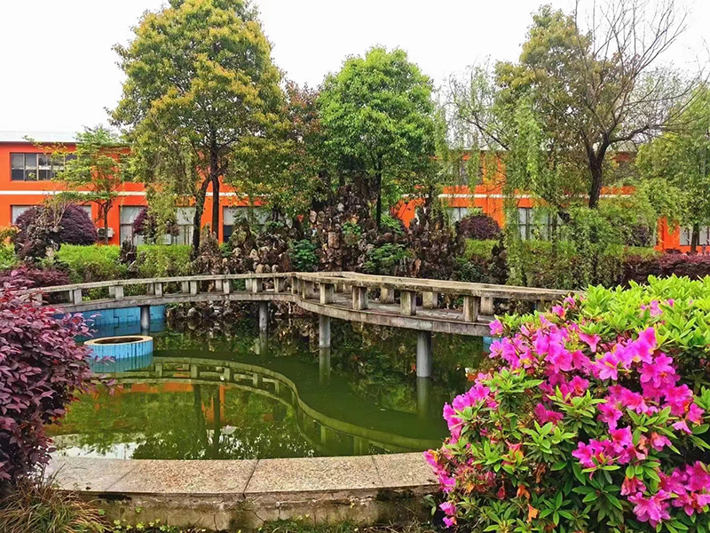 學(xué)校景色