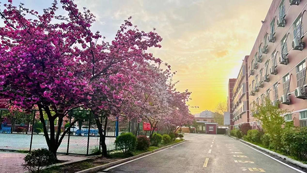 校園風景