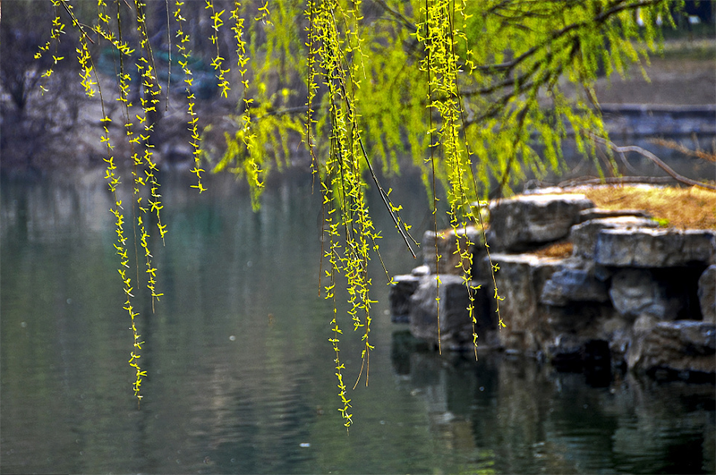 湖泊