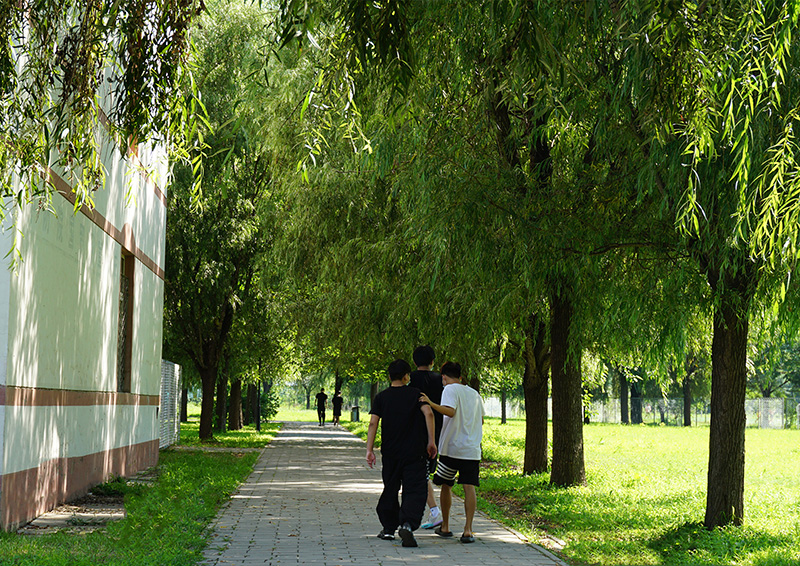 北資校園林蔭小道