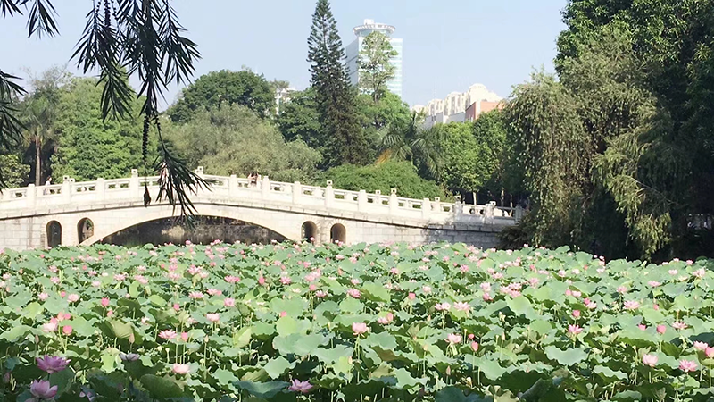 學校風景