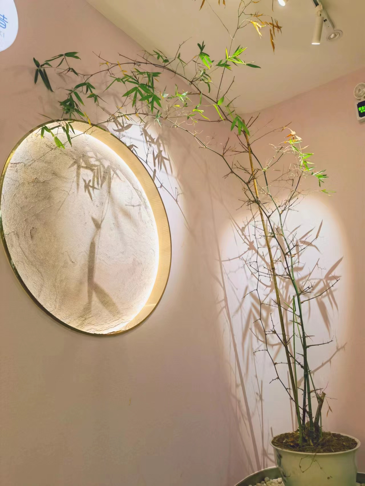 綠植